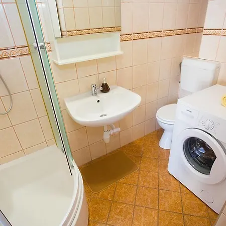 Apartment Gojsa *